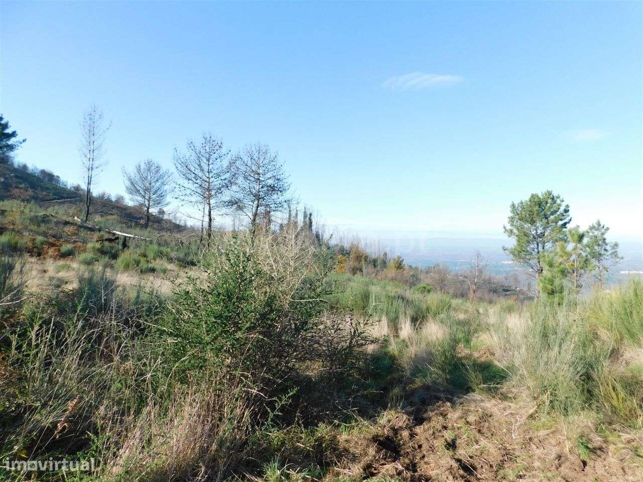 Terreno / Seia, Seia - Grande imagem: 2/6