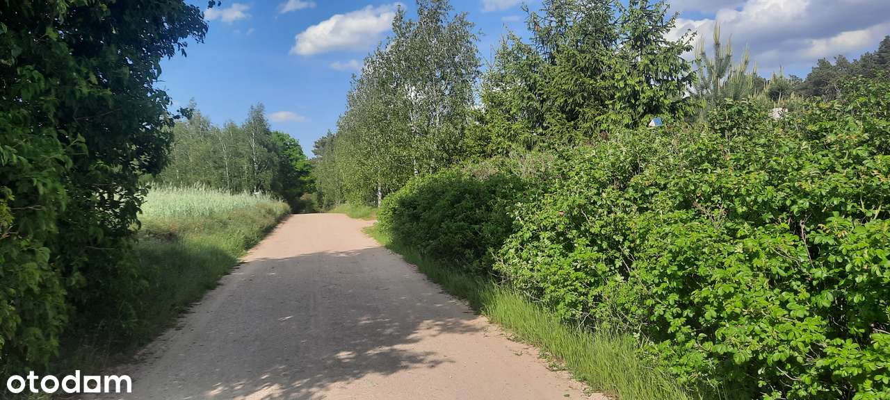 Działka SIEDLISKOWA 1MR 40km od Poznania lasy  jezioro, stadnina koni-14