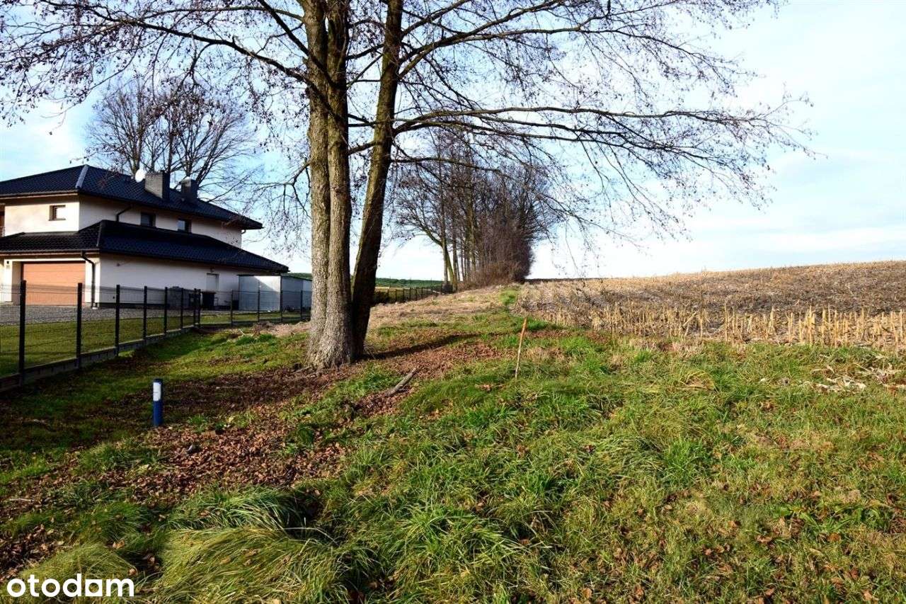 Działka budowlana w Studzionce 875 m2. - Pełny obrazek: 3/6