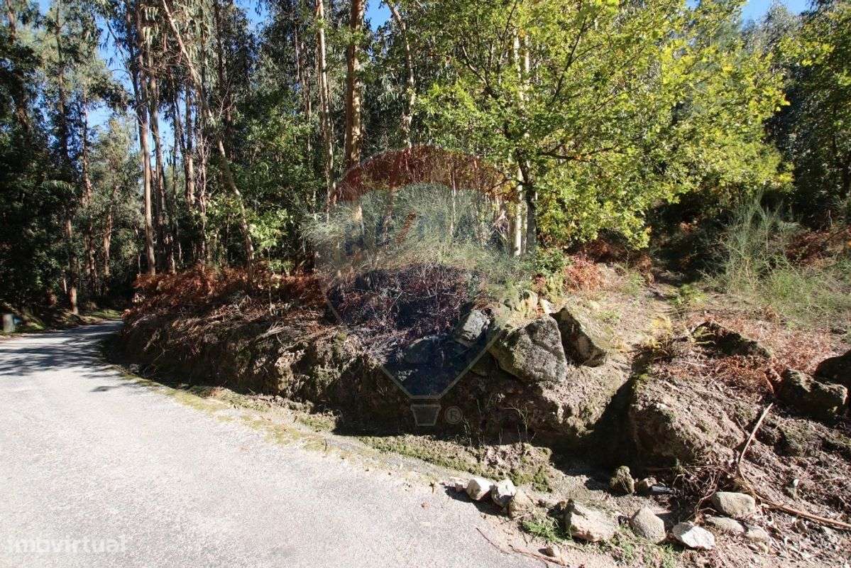 Terreno  para venda - Grande imagem: 4/7