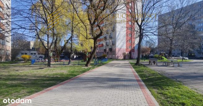 Dwa pokoje w doskonałej lokalizacji – Żoliborz tuż-0