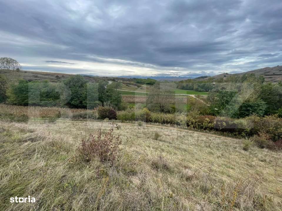 Teren Extravilan, 2800mp Perfect pentru Investitie - Imagine principală: 5/5