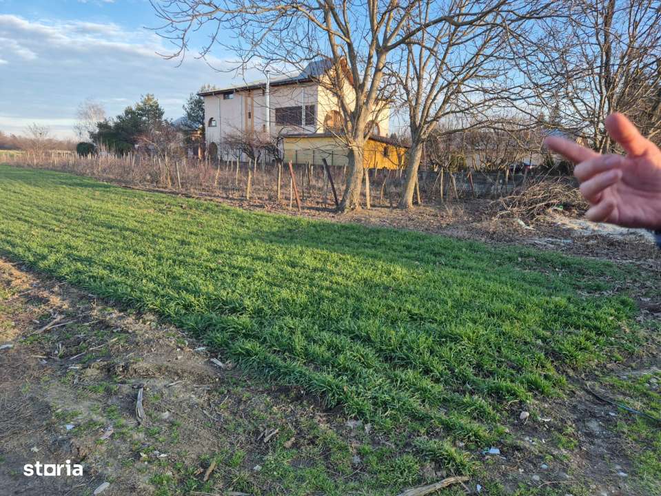 Vand teren in Tandava cu deschidere la PADURE (Gradinari, Giurgiu)-4