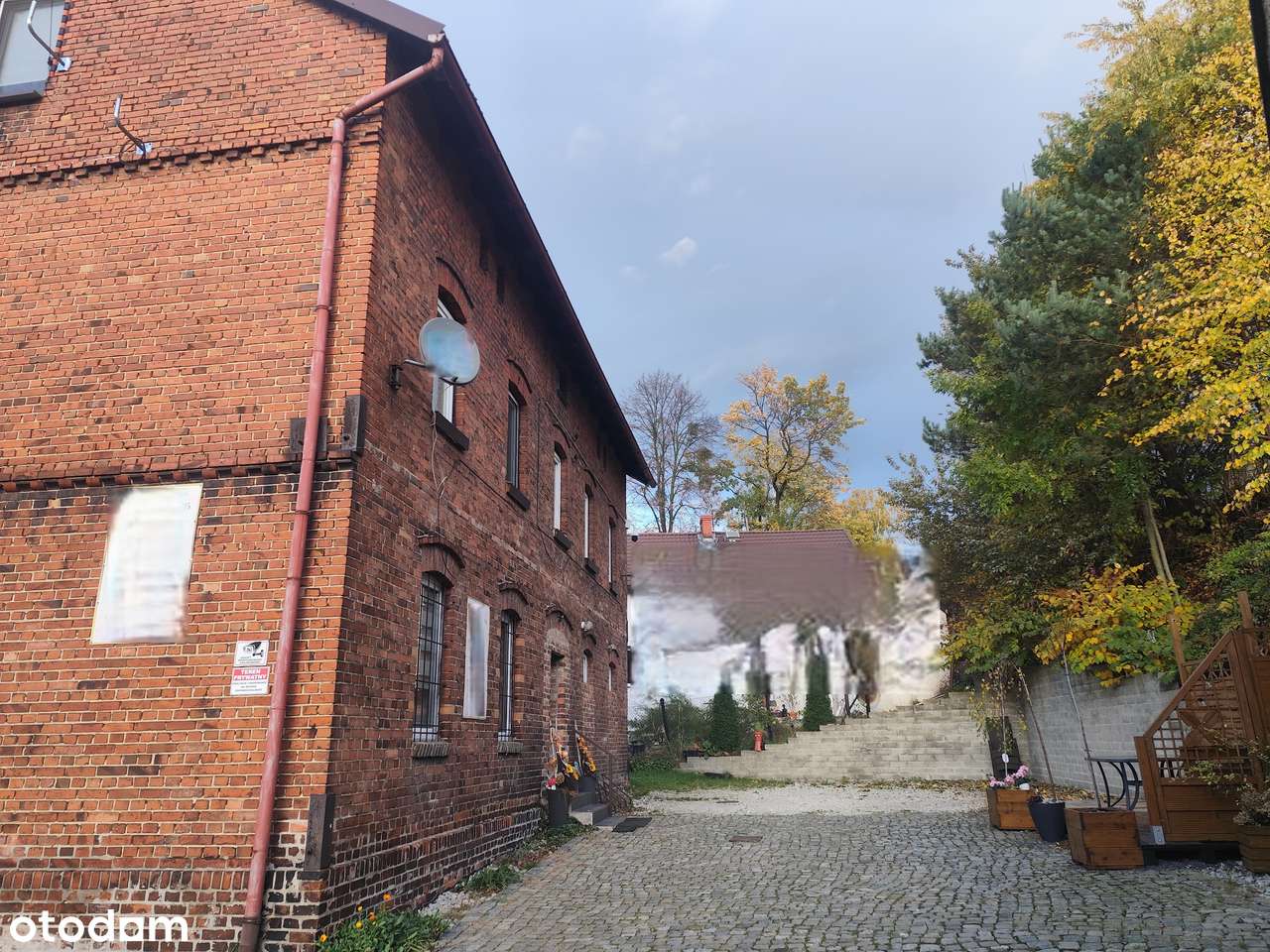 Lokal do Wynajęcia w Centrum Żernicy - Pełny obrazek: 3/6