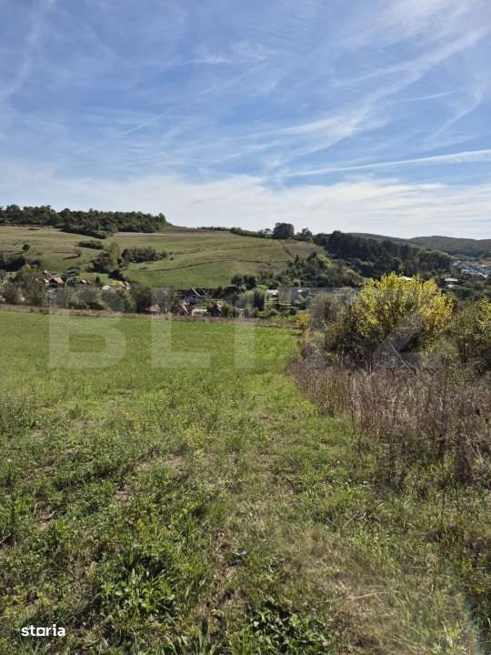 Parcela 12000 mp teren intravilan de vanzare in Livezeni - Imagine principală: 3/5