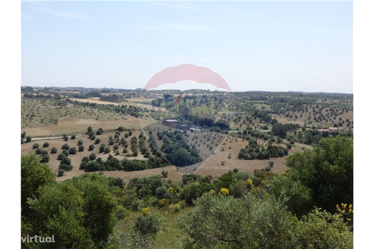 TERRENO AGRÍCOLA