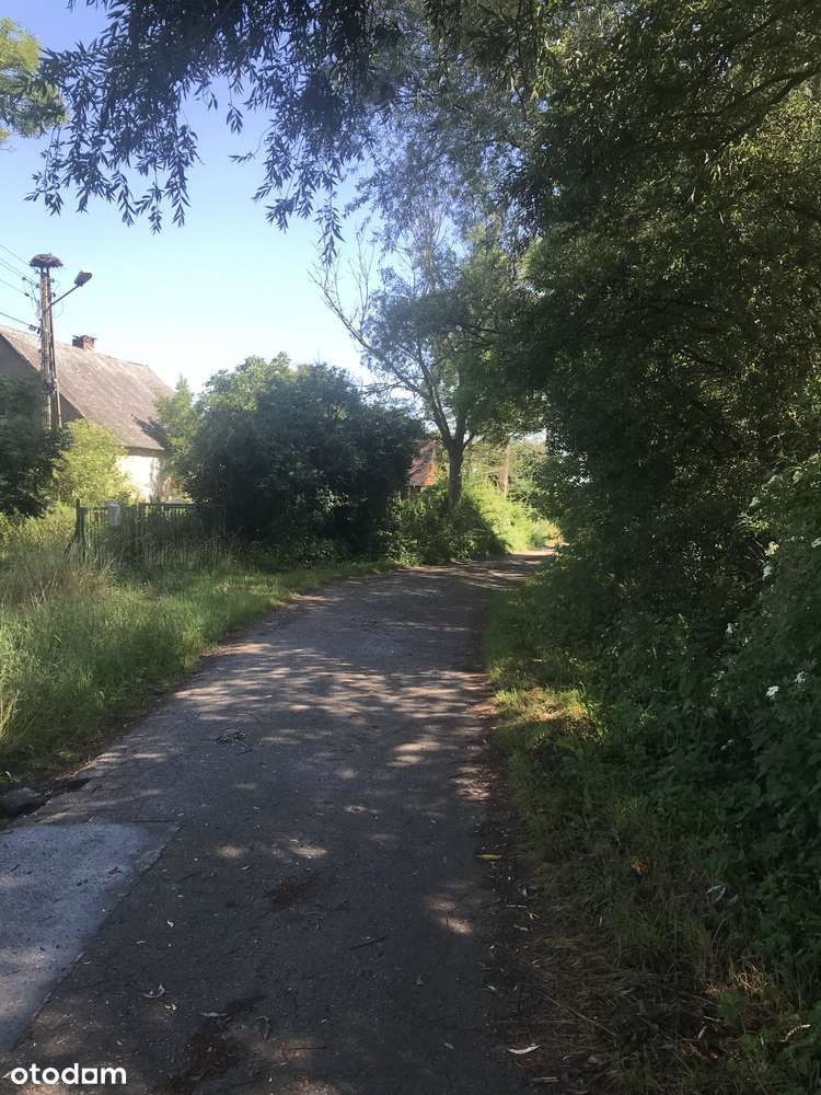 Działka budowlana blisko plaży Wyspa Sobieszewska-6