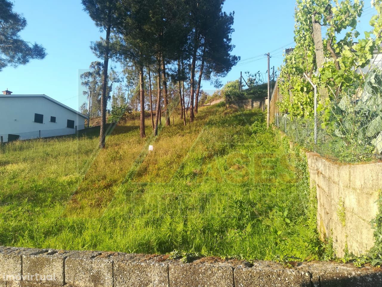 Terreno  Venda em Arco de Baúlhe e Vila Nune,Cabeceiras de Basto