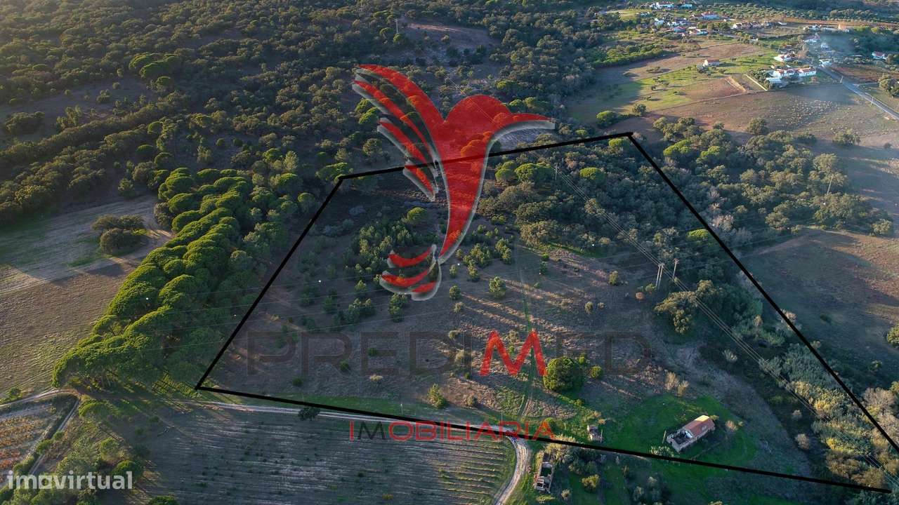 Quinta com ruína a 10km da Lagoa de Santo André - Grande imagem: 5/11