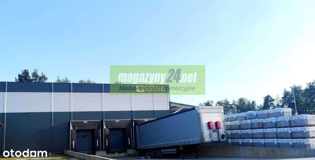 Magazyn 900m2 Gorzewo koło Sierpca - Pełny obrazek: 5/6