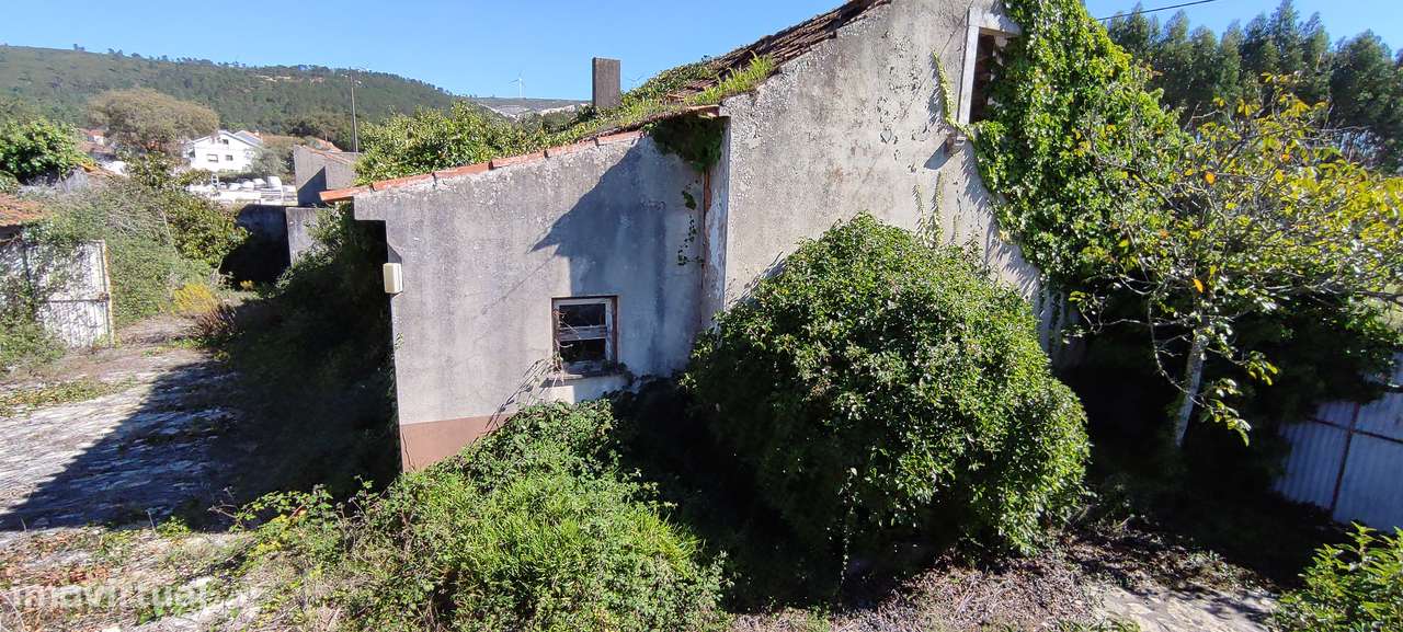 "Quintinha" de 5.100 m² na Moita Poço - Turquel-6