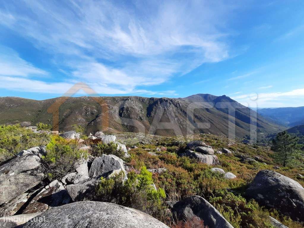 Casa antiga para recuperar - Grande imagem: 5/6