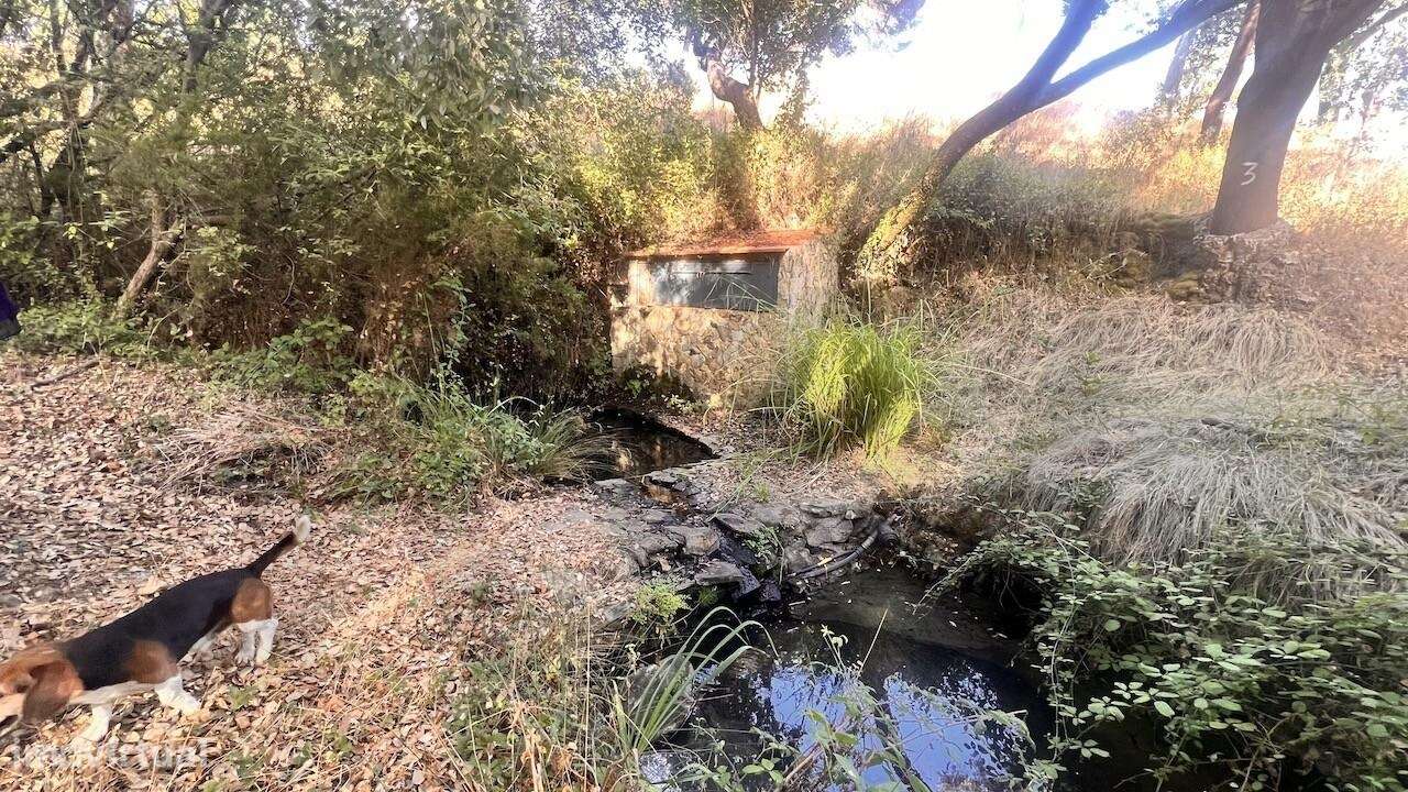 Propriedade única na Serra de Grândola - Terreno de 6,9 ha com vista p-14