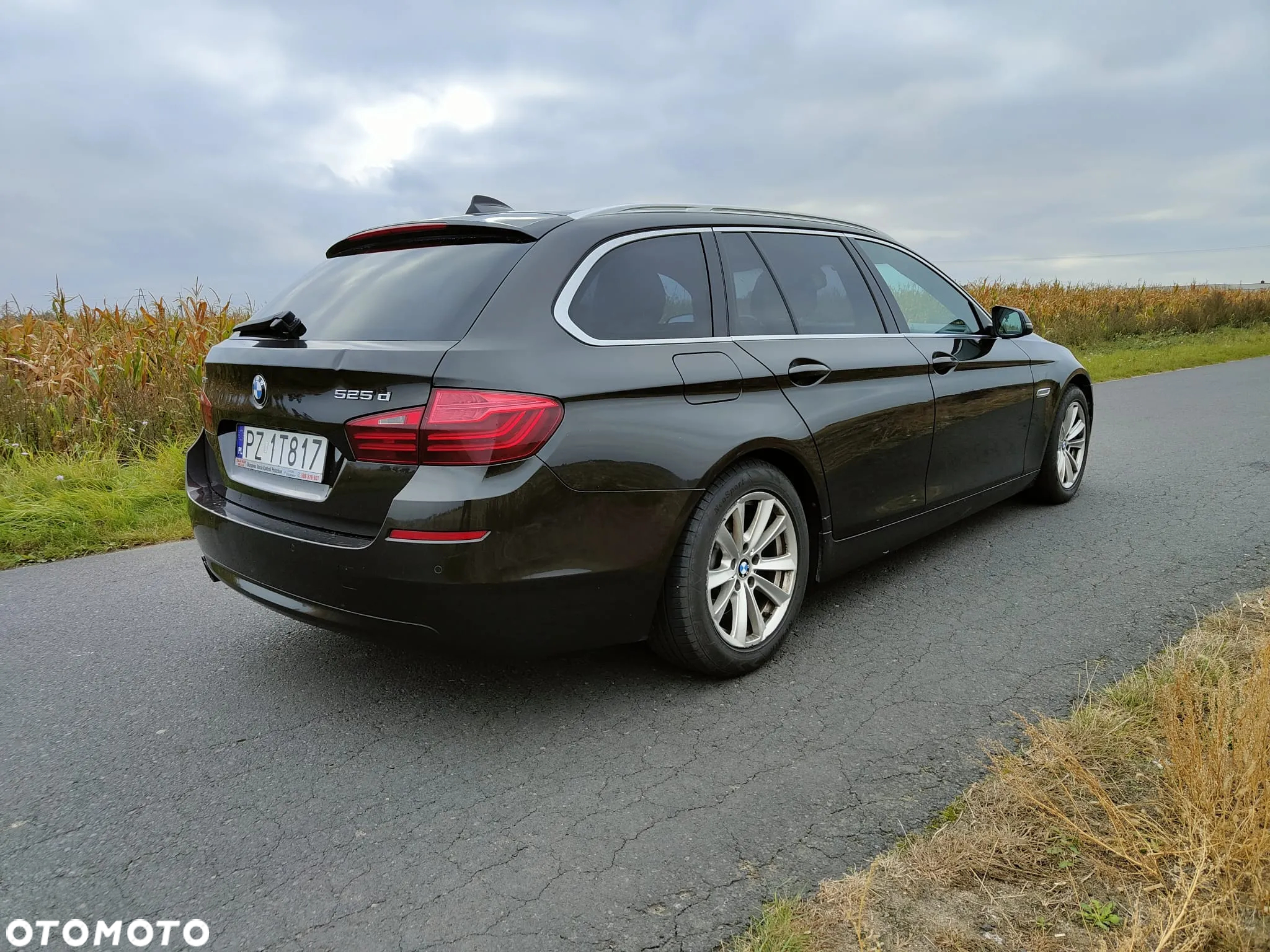 BMW Seria 5 525d xDrive Luxury Line - 5