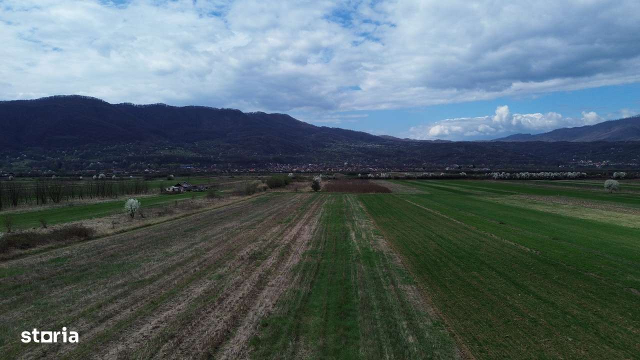 Teren / Jiblea Noua / Calimanesti /-2