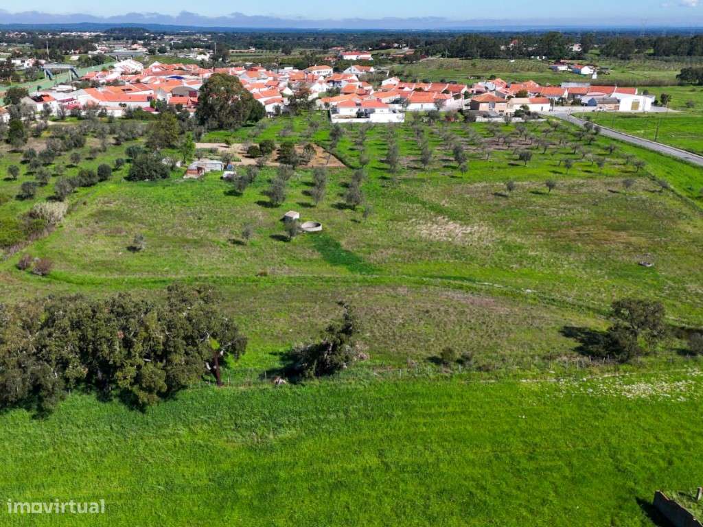 Quinta para Venda na Aldeia do Futuro - Grândola-40