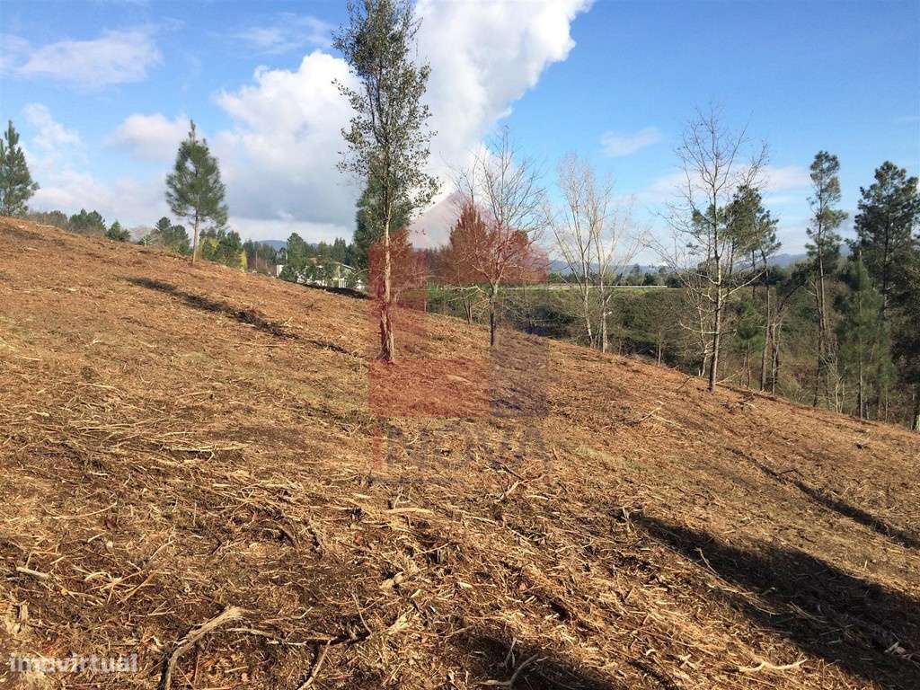 Vende-se Terreno, Sabariz - Grande imagem: 4/12
