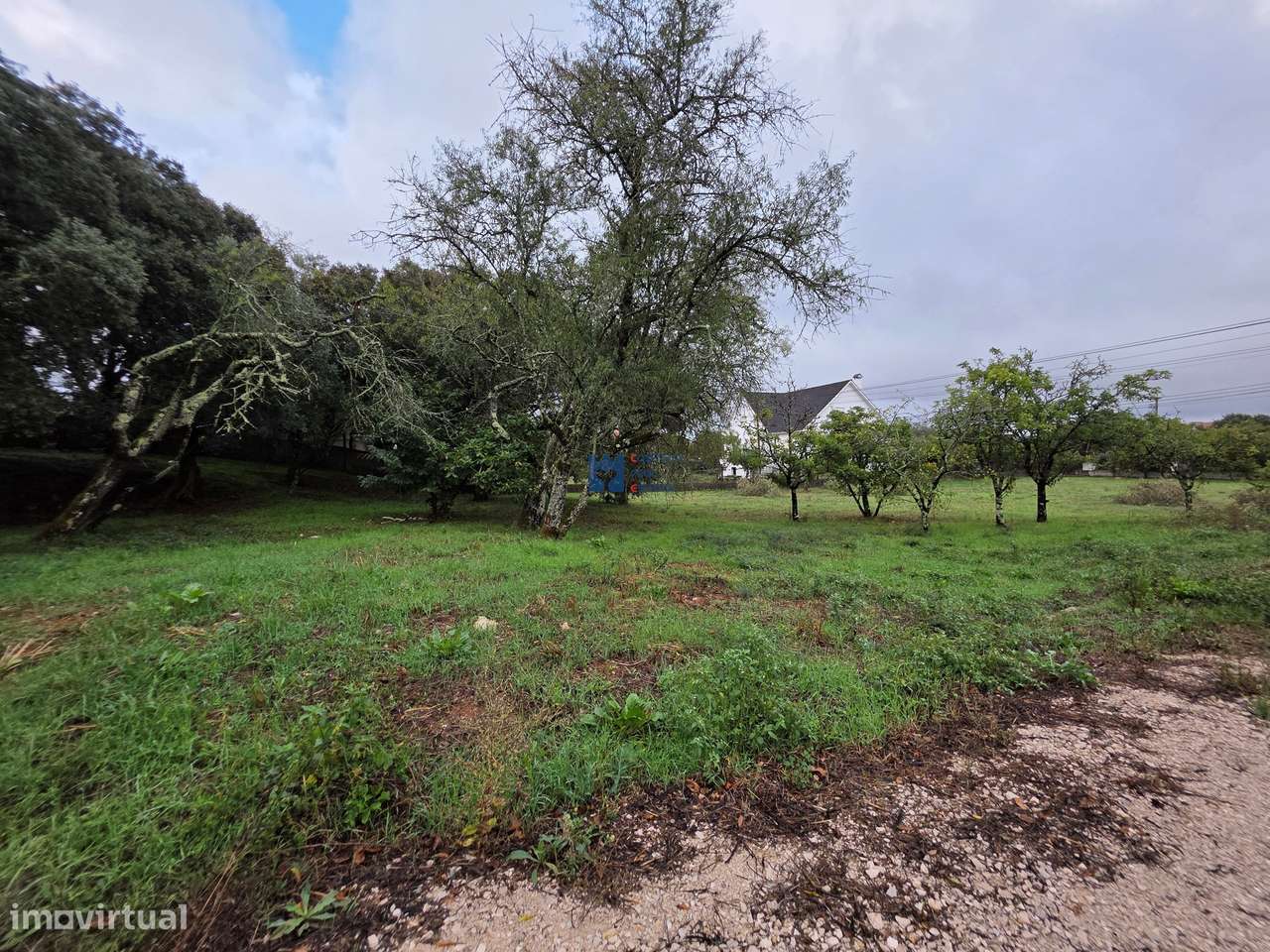 Lotes de Terreno para Construção em Fátima-34