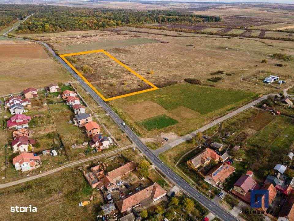 Teren ideal ca investitie, 19000 mp, in Pischia pe DJ691, comision 0-0