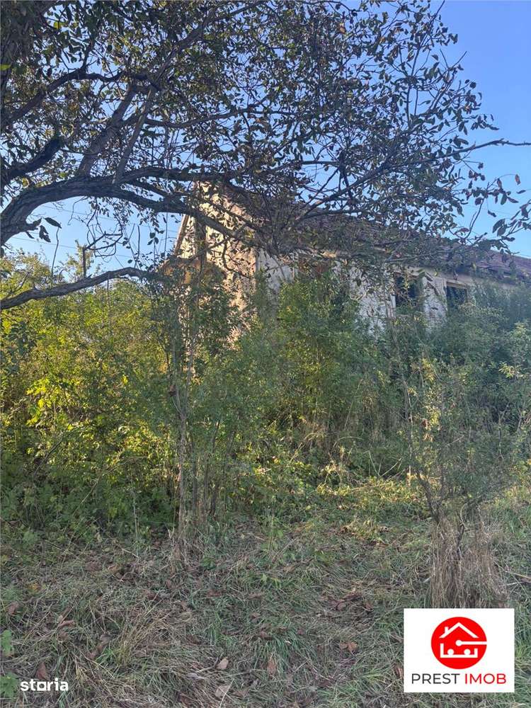 Conac in paragina - Imagine principală: 3/11