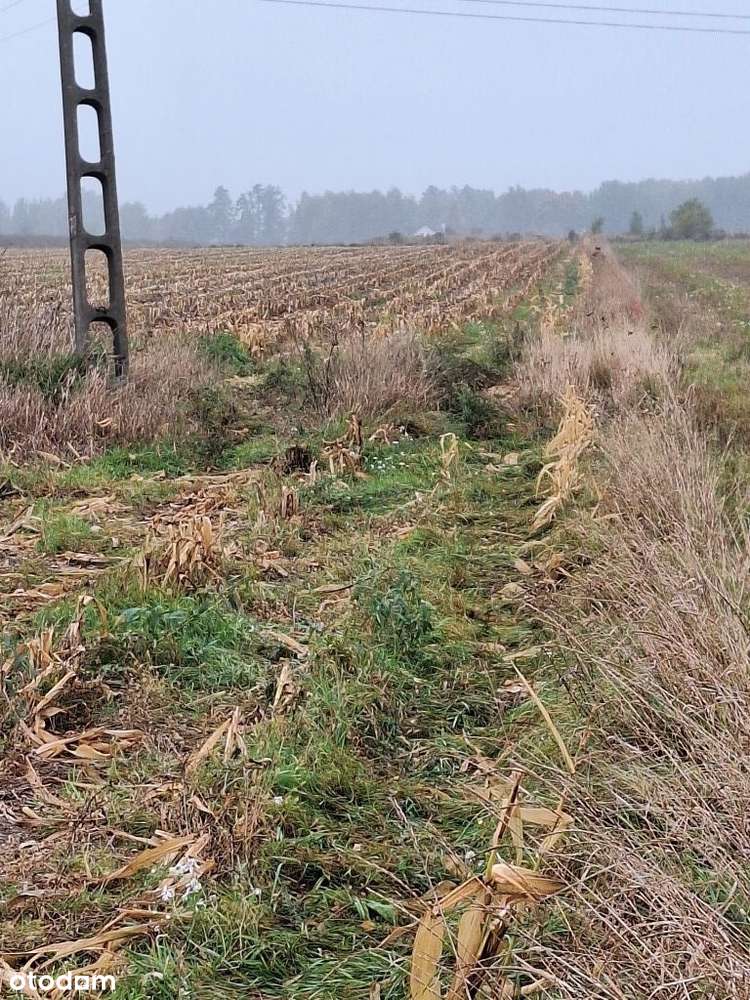 Sprzedam działkę budowlaną - Pełny obrazek: 5/5