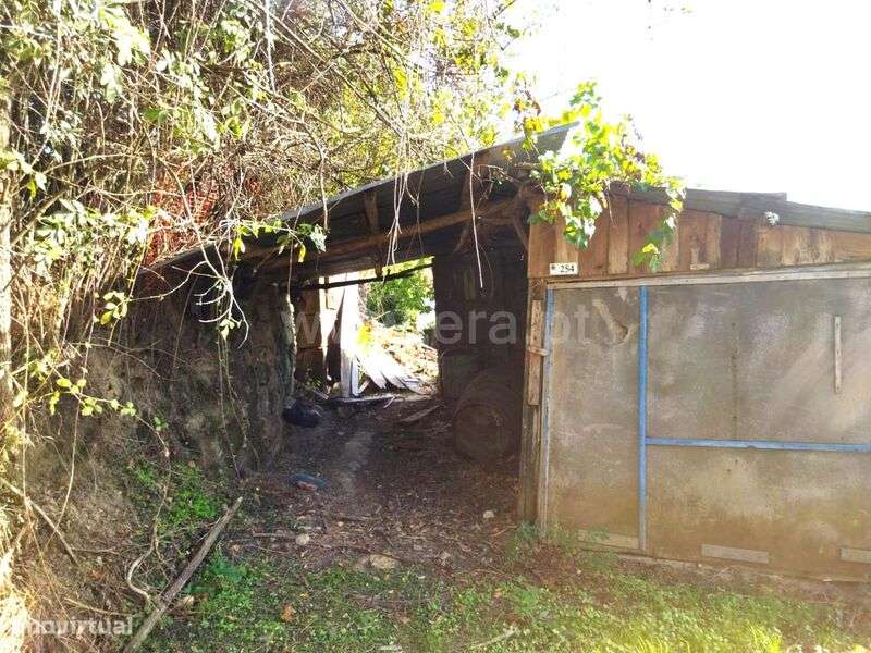 Quintinha / Cinfães, São Cristóvão de Nogueira - Grande imagem: 4/14