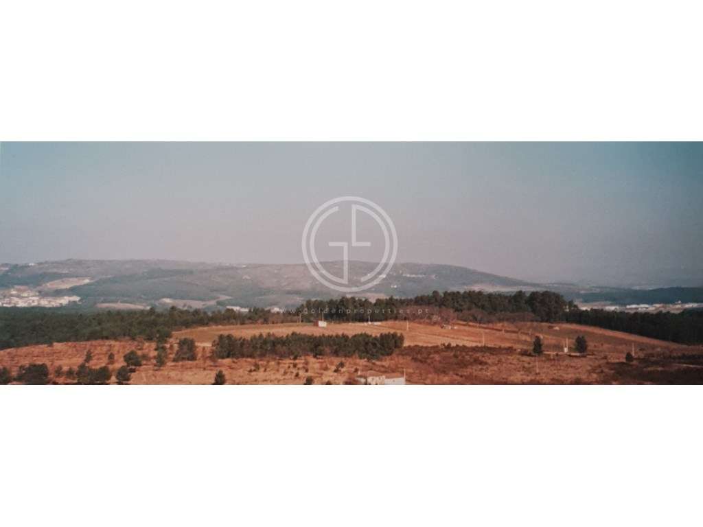 Terreno em Sabrosa, Vila Real - Grande imagem: 4/12