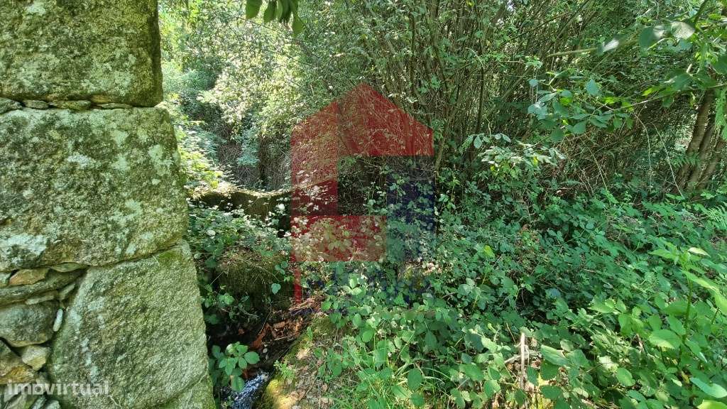 Moinho Paredes de Coura - Grande imagem: 3/14