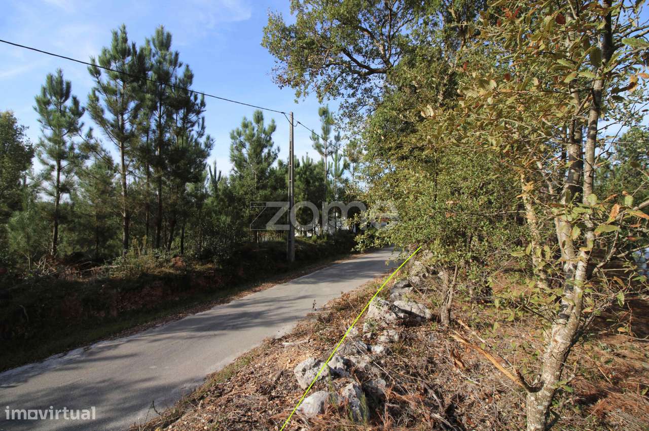 Terreno rústico urbanizável | Santiago da Guarda, Ansião-5