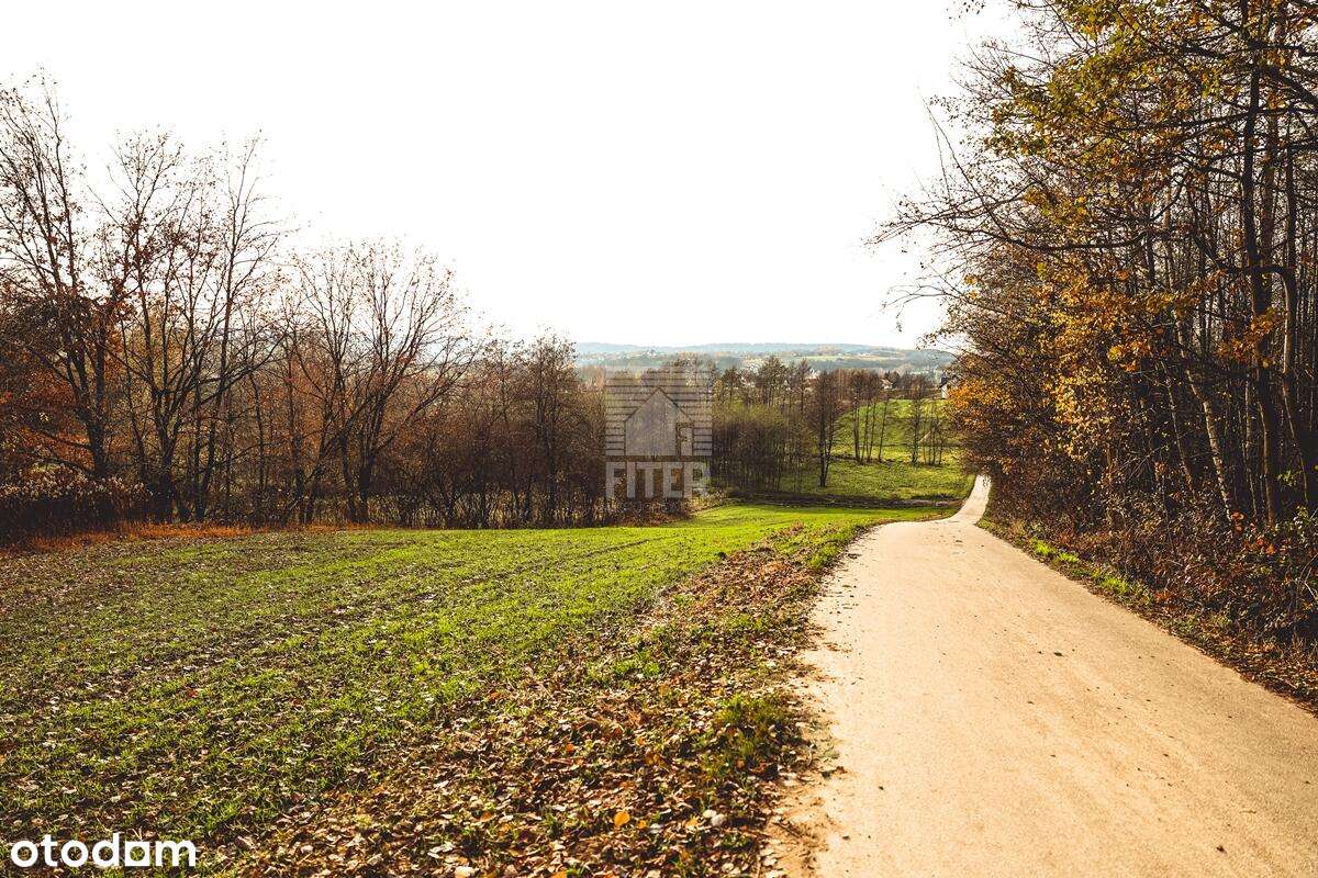 Działka zagrodowa | Zawada Uszewska - Pełny obrazek: 5/7