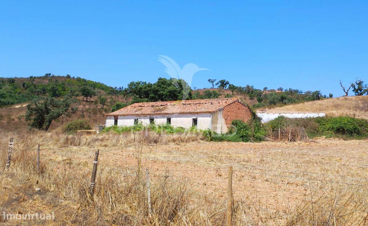 Herdade com 36,9000 ha a 3 Km do Pego das Pias - Grande imagem: 2/40
