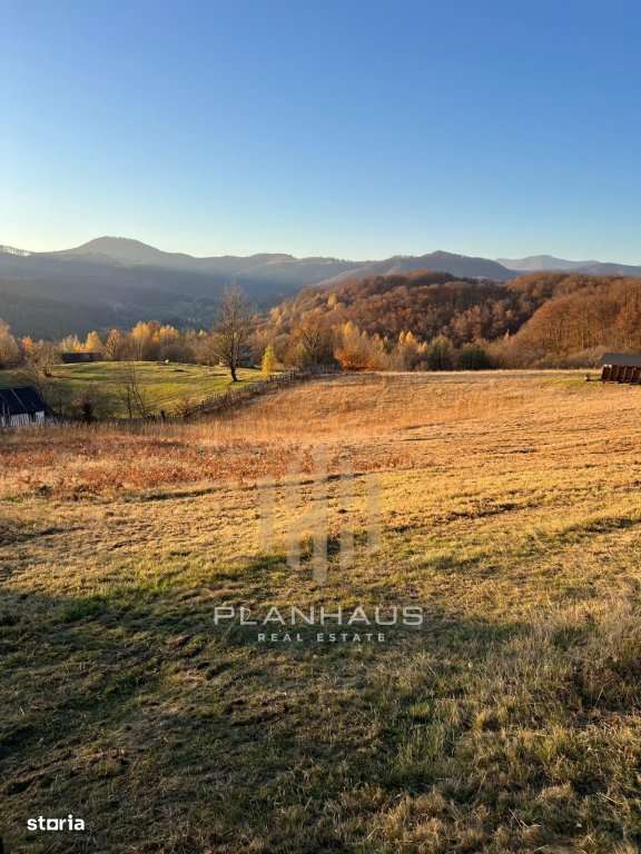 Teren extravilan Izvoare Maramures , zona Vidra , ideal pentru cabană - Imagine principală: 1/8