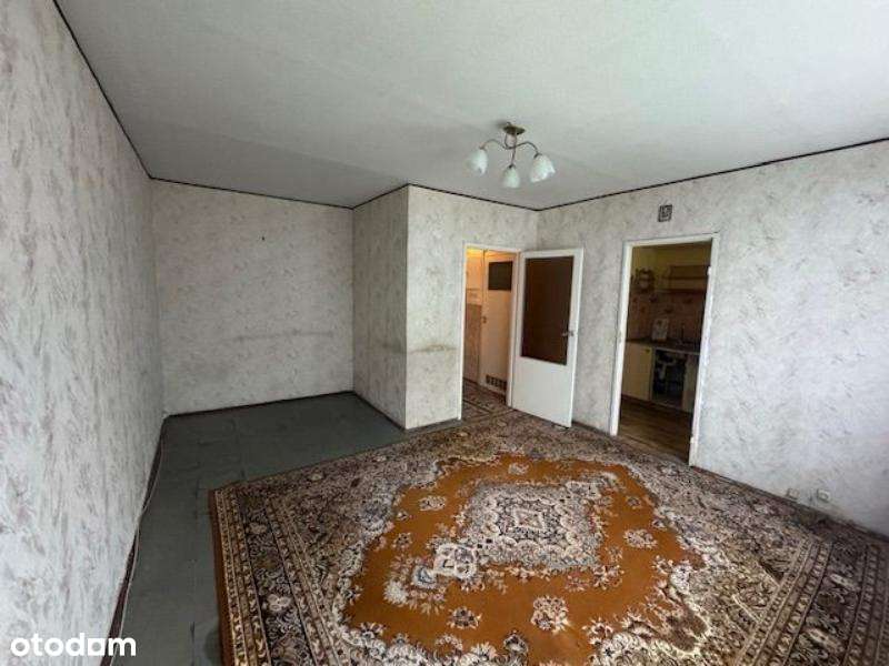 Kawalerka na Julianowie do własnej aranżacji - Pełny obrazek: 2/6