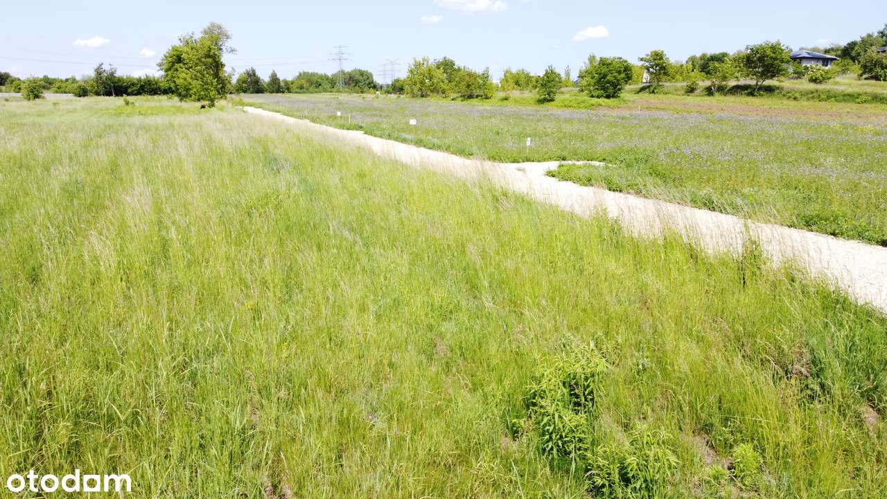 5x działek budowlanych 20m x 28m  - Nowa Lokalizacja - Tylko Nowe Domy-6