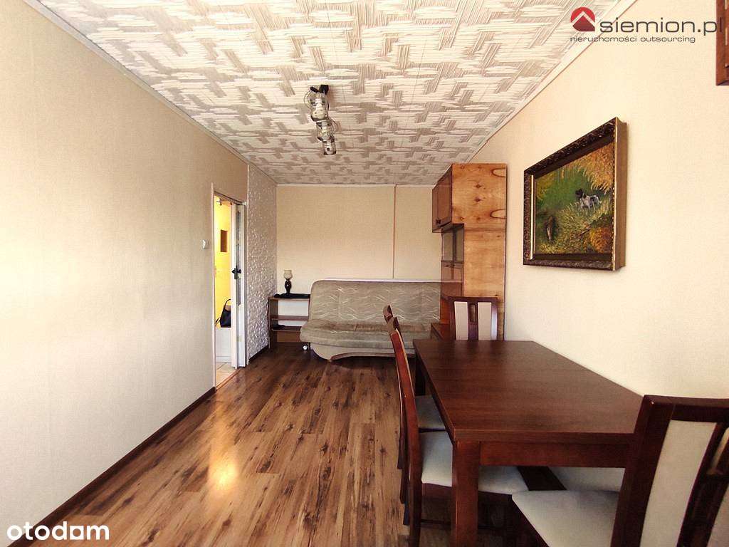 Dwupokojowe mieszkanie niedaleko Parku Śląskiego-2