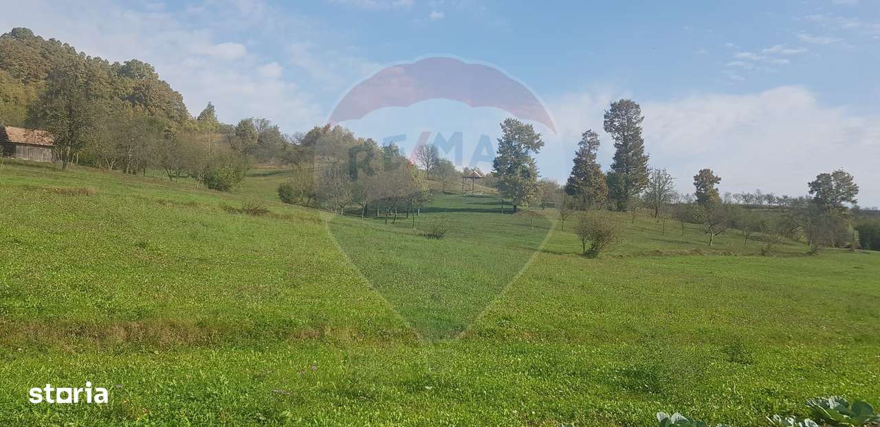 Casă si teren 1.6 ha de vânzare, în Rona de Jos-6