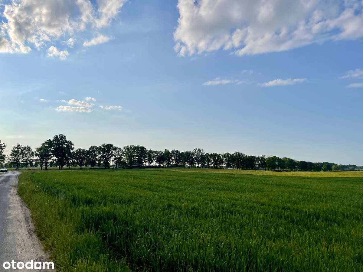 Działki budowlane Iława przy ul. Lipowy Dwór 0,12-0,18ha - Pełny obrazek: 4/7
