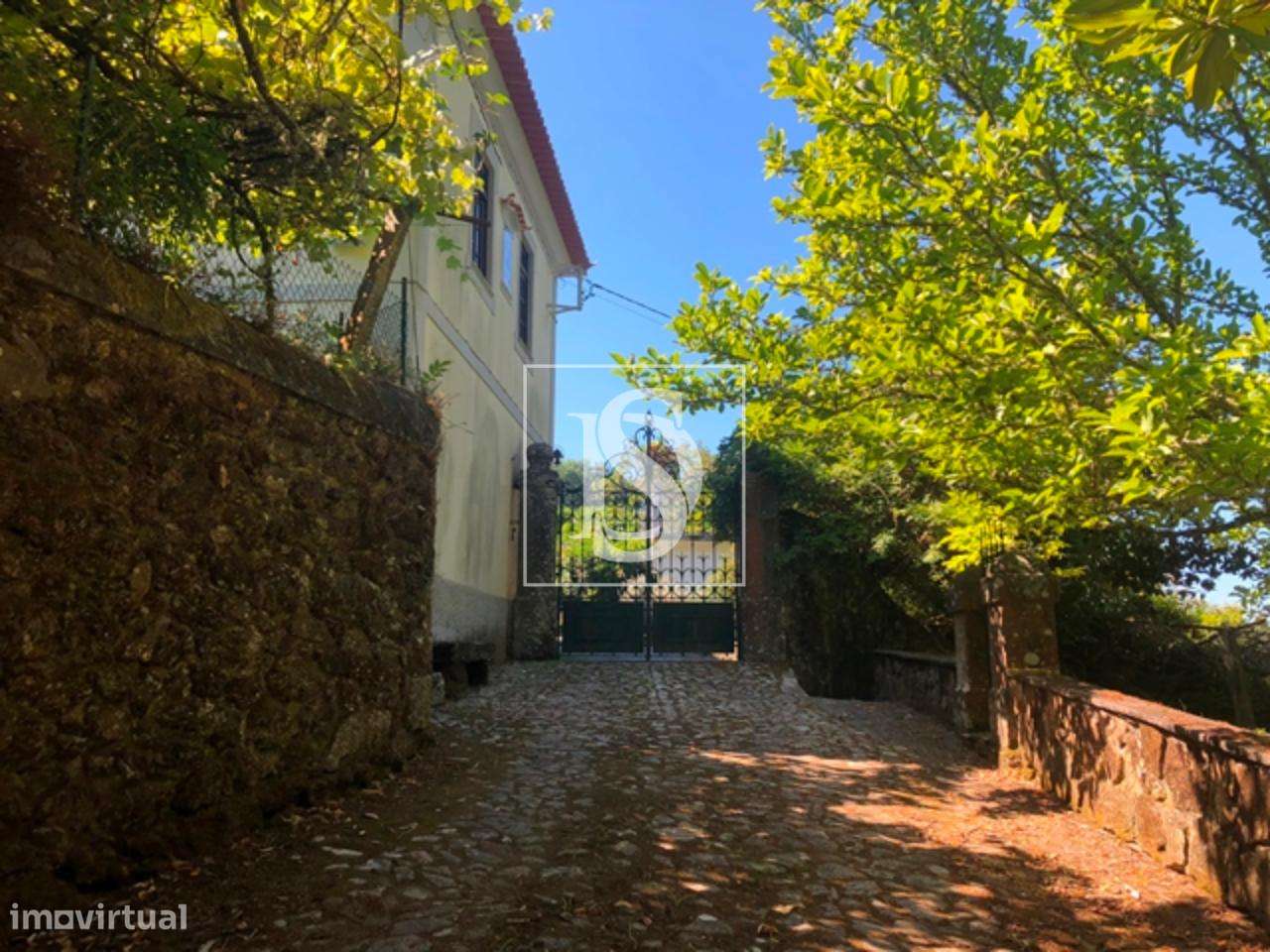 Quinta (Com Moradia T4) em Seixas - Grande imagem: 3/11