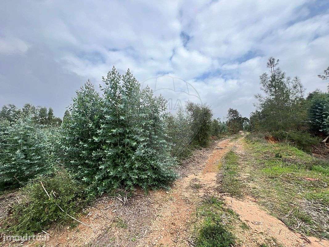 Terreno  para venda - Grande imagem: 3/16