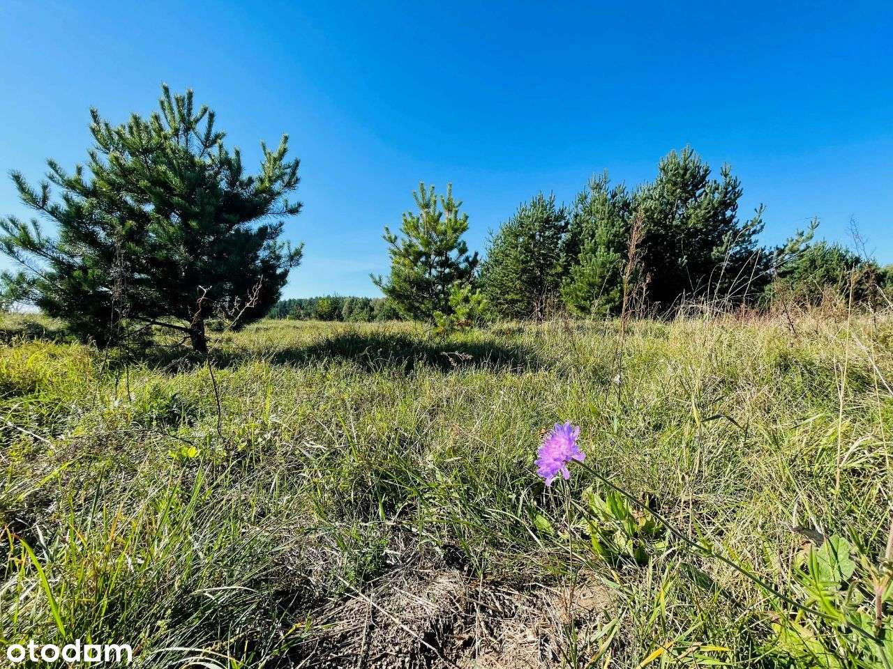 Działka Brzeźno Łyńskie - Pełny obrazek: 5/14