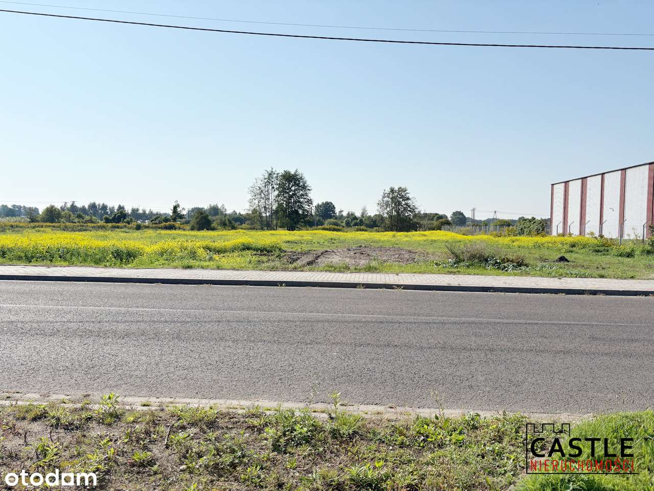 Duży teren inwestycyjny  pod halę lub centrum logistyczne-7