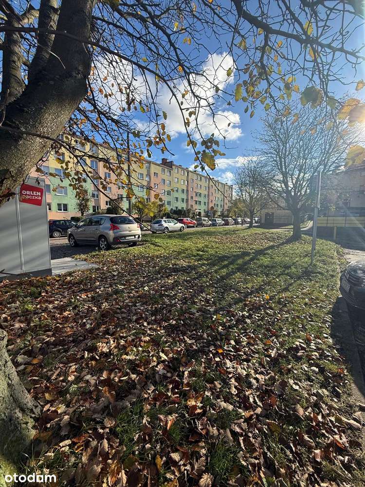 Lokal Użytkowy + 2 działki z WZ na nowe lokale mieszkalno-usługowe - Pełny obrazek: 4/14