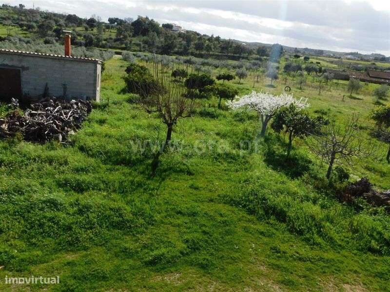 Quinta / Fundão, Quintas da Torre - Grande imagem: 2/8