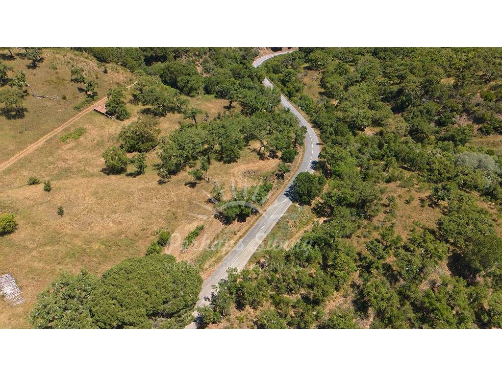 Propriedade Rústica de Montado com Ribeira | 22,6 Hectares | Serra ...-17