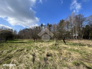 Działka 48 ar. zabudowana domem jednorodzinnym