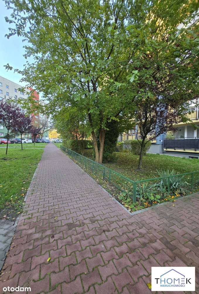 Przestronne mieszkanie - Dąbrowa Górnicza-17