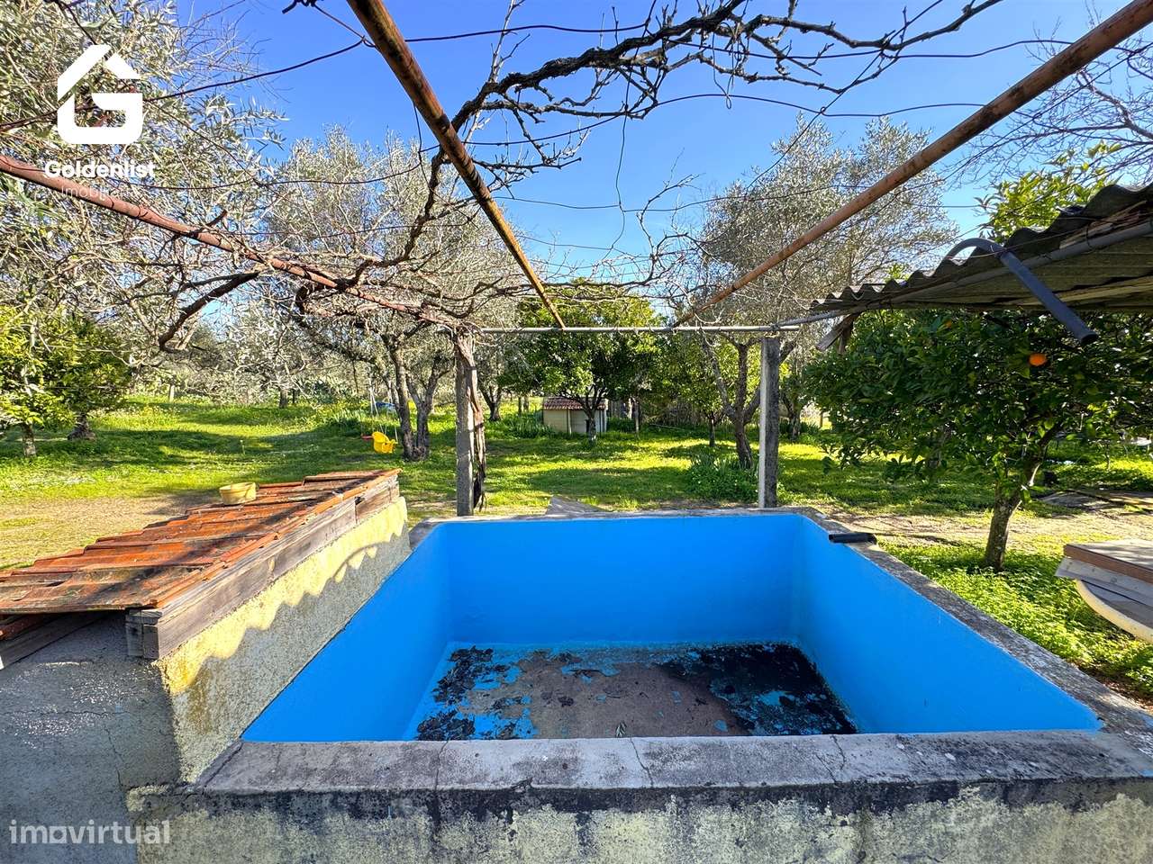 Quinta  Venda em Monforte da Beira,Castelo Branco-35