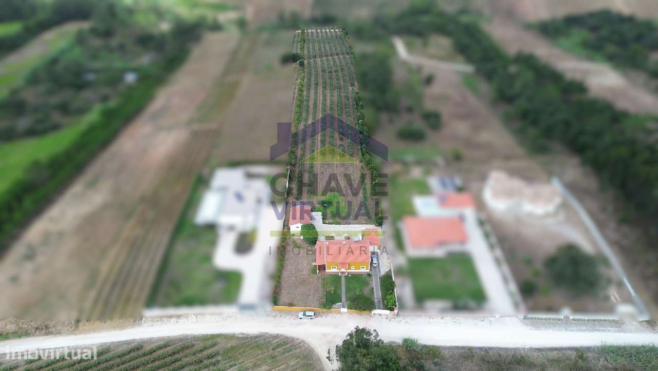 Magnífica Quinta com 19.107 m2 Carvalhal - Bombarral-3