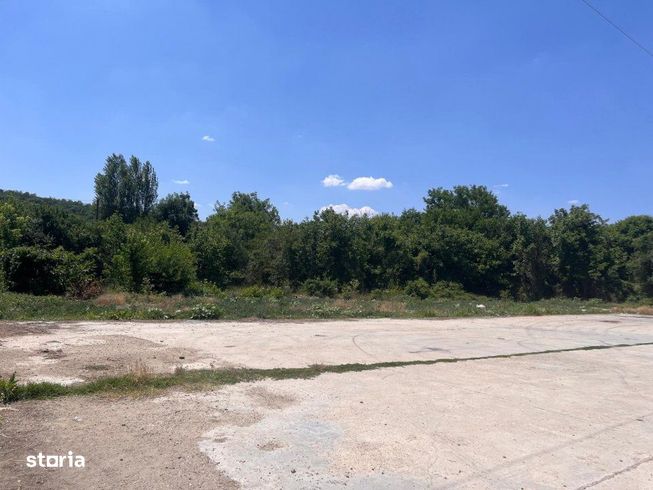 Investitie de viitor! Teren intravilan 8554 mp-Bucovat-13