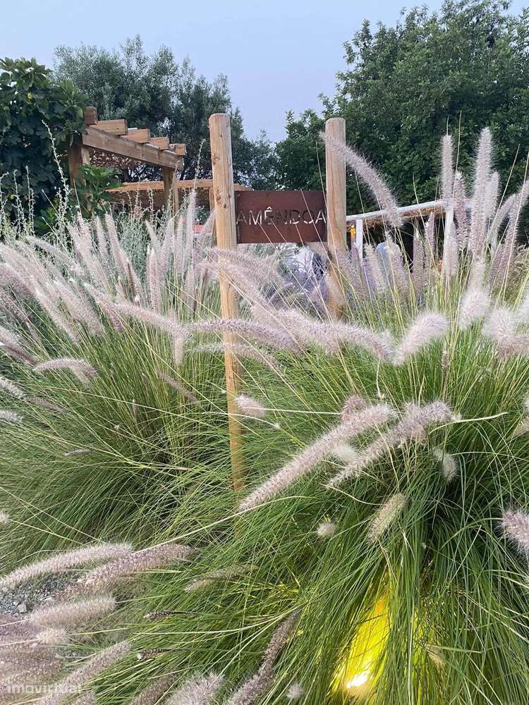 Quinta com 7 apartamentos em Tavira-20